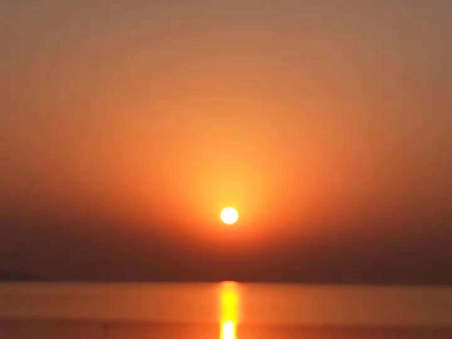 1540891790718243.jpg